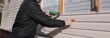 Best Siding Painting and Refinishing  in Kurtistown, HI